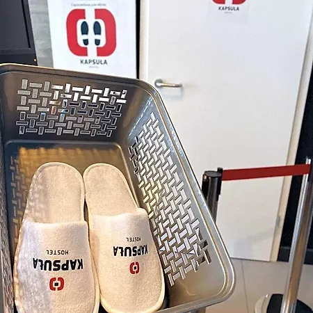 Kapsula 호스텔 *